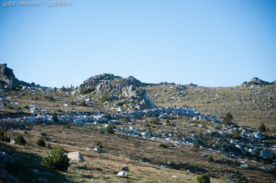 La piste amène tranquillement à la Collada des Roques Blanques à 2200 m.